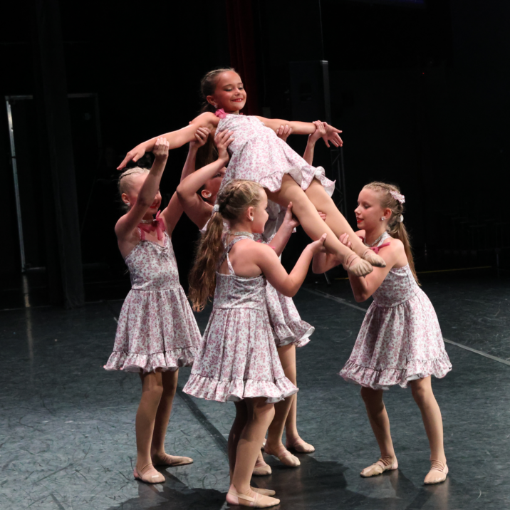 minis lift